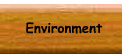 Environment